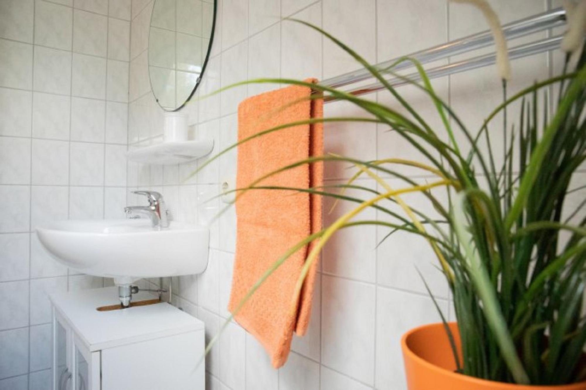Reiterhof Ekenhoff Apartment Moorweg Bagian luar foto